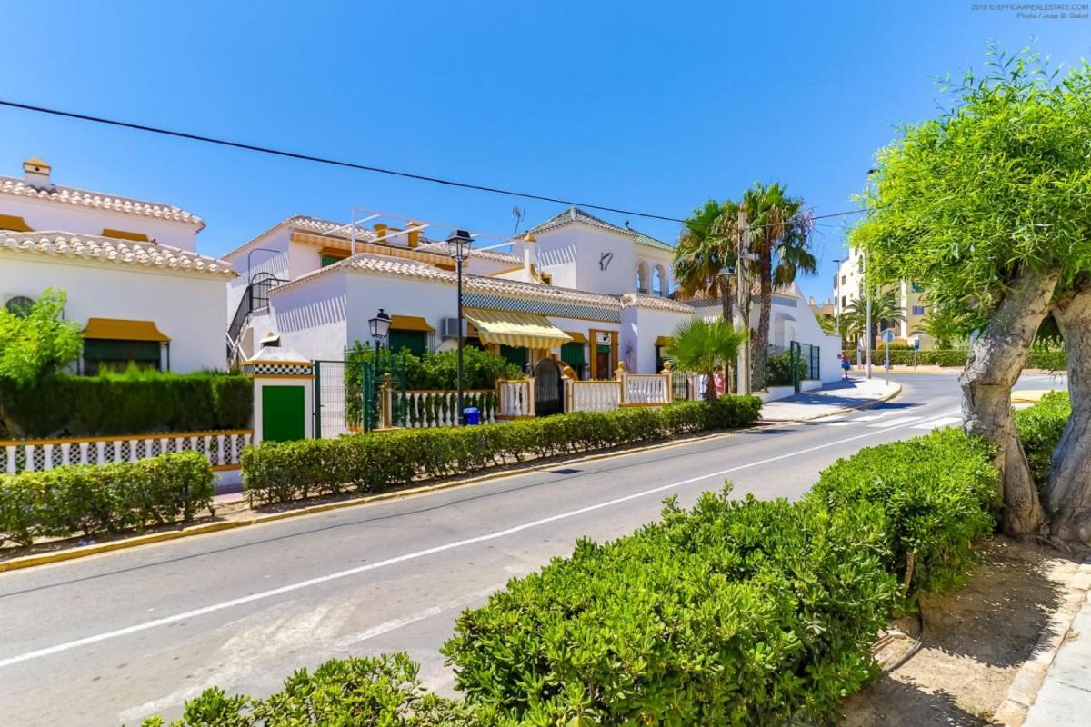 Casa Micha Apartment Torrevieja Exterior photo