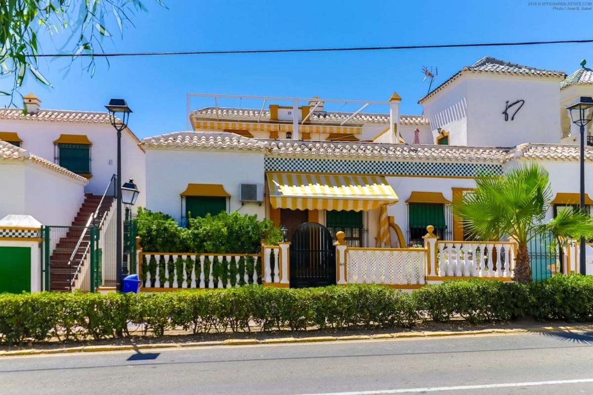 Casa Micha Apartment Torrevieja Exterior photo